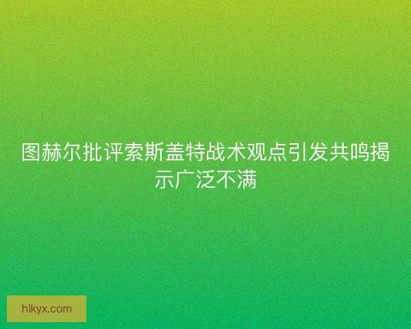 图赫尔批评索斯盖特战术观点引发共鸣揭示广泛不满